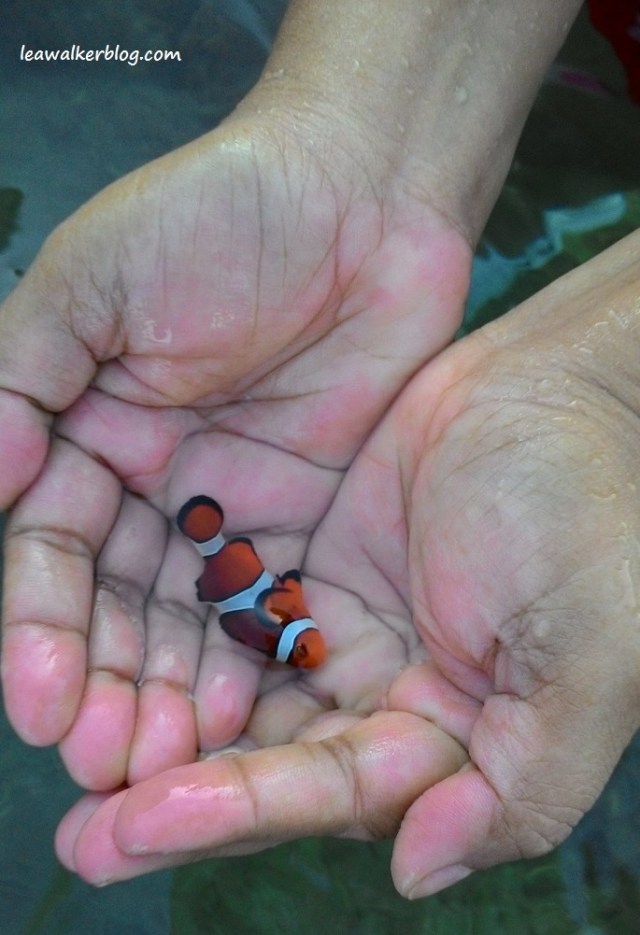 Roadtrip 2015 - Duka Bay Resort (1)