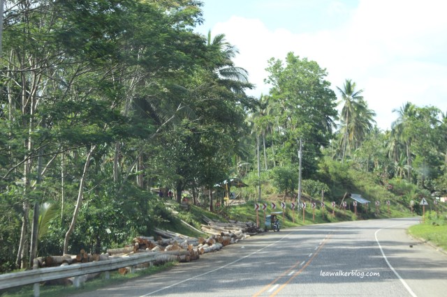 Roadtrip Day 1 - Davao to Butuan (9)
