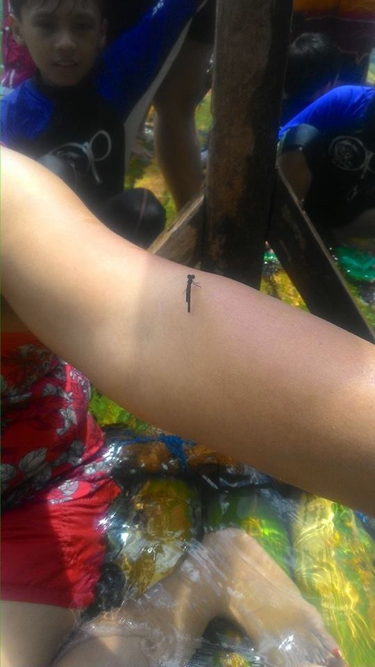 12910469_596364697186268_807420618_n